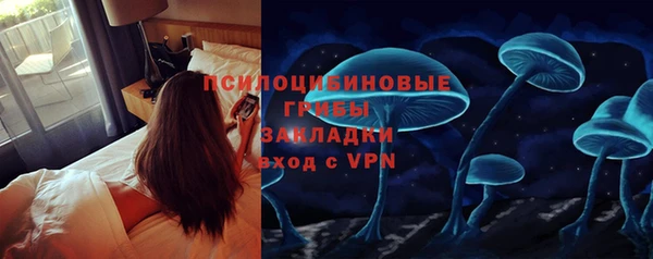 мдма Богданович