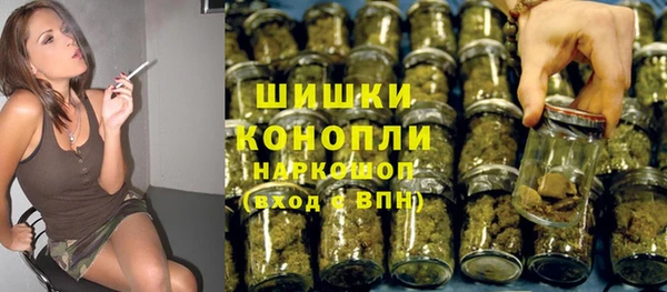 сатива Богородск